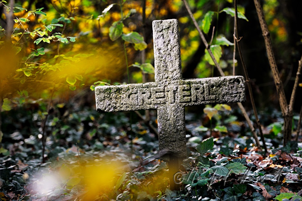 grave at the abandoned Friedhof der Namenlosen (cemetery of the nameless)