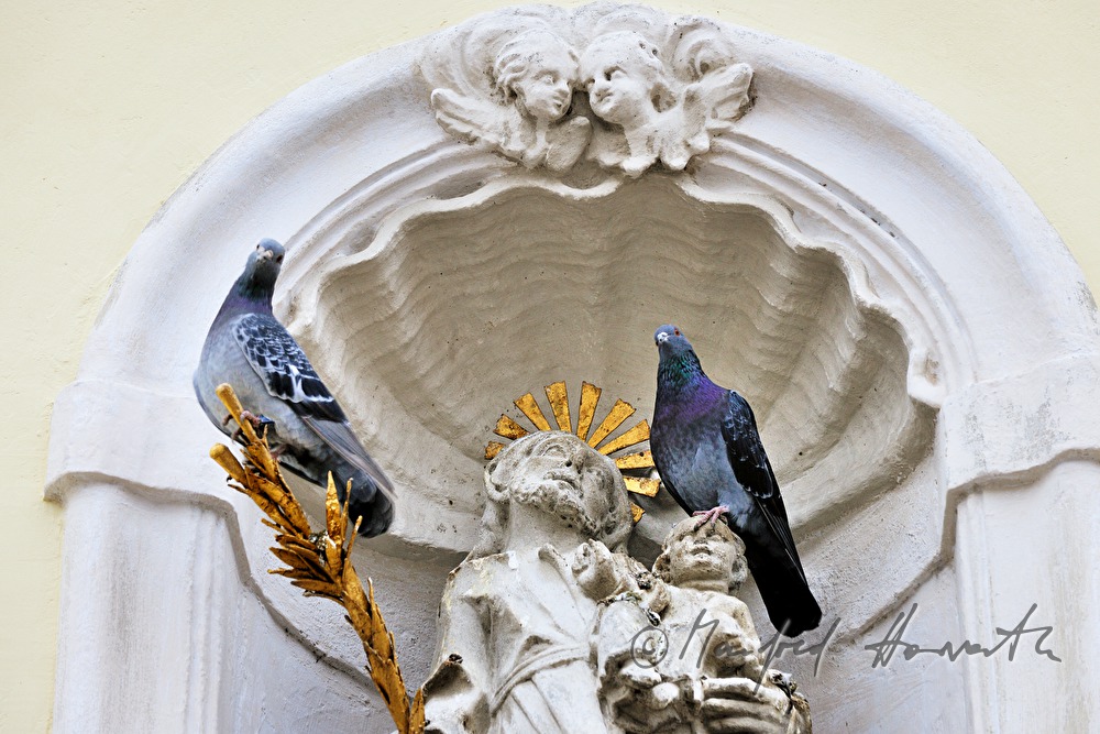 pigeons sitting on a baroque statue
