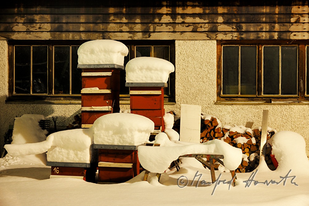 snowcovered beehives at the hydraulic power station