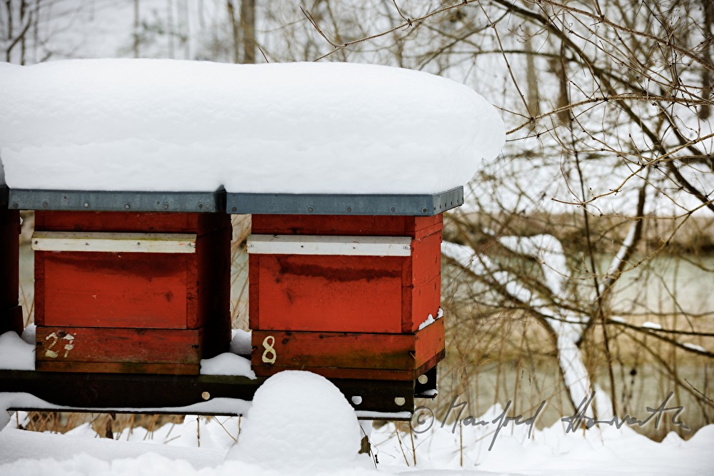snowcovered beehives at the hydraulic power station