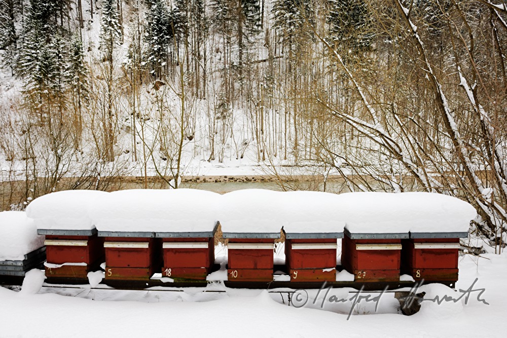 snowcovered beehives at the hydraulic power station