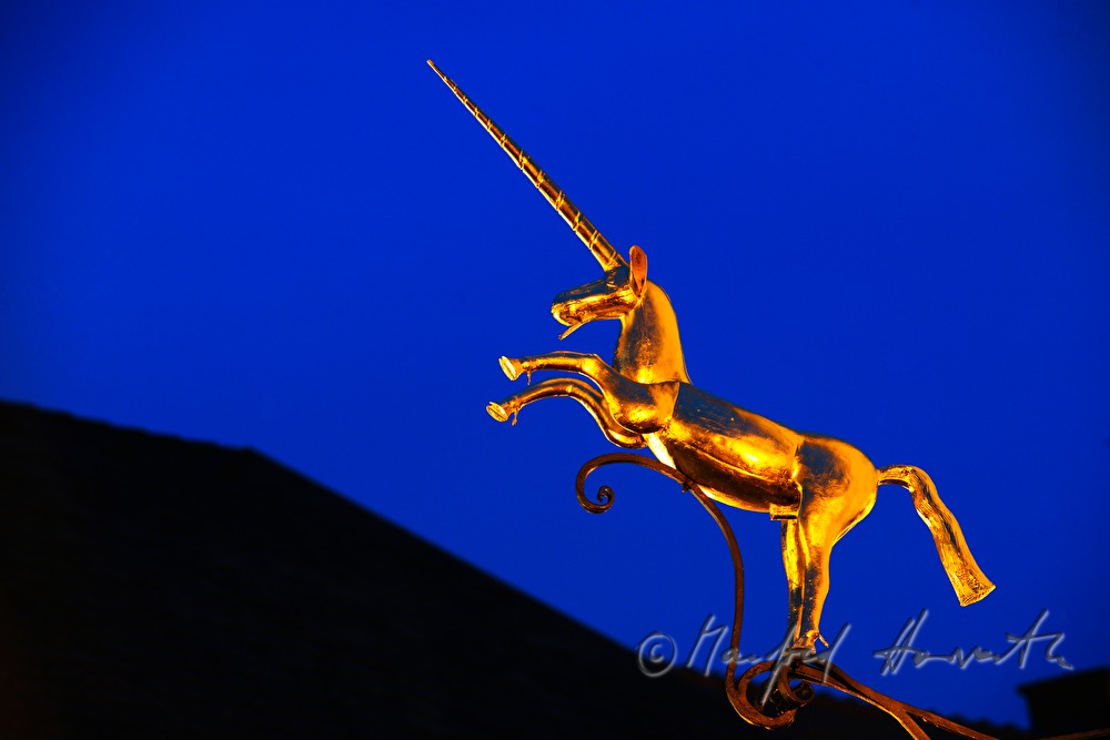 golden guild symbol at a jeweller's house