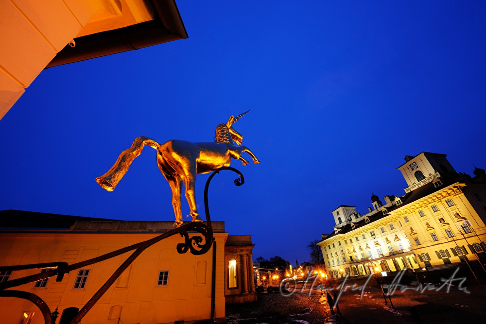 golden guild symbol and Castle Esterhazy
