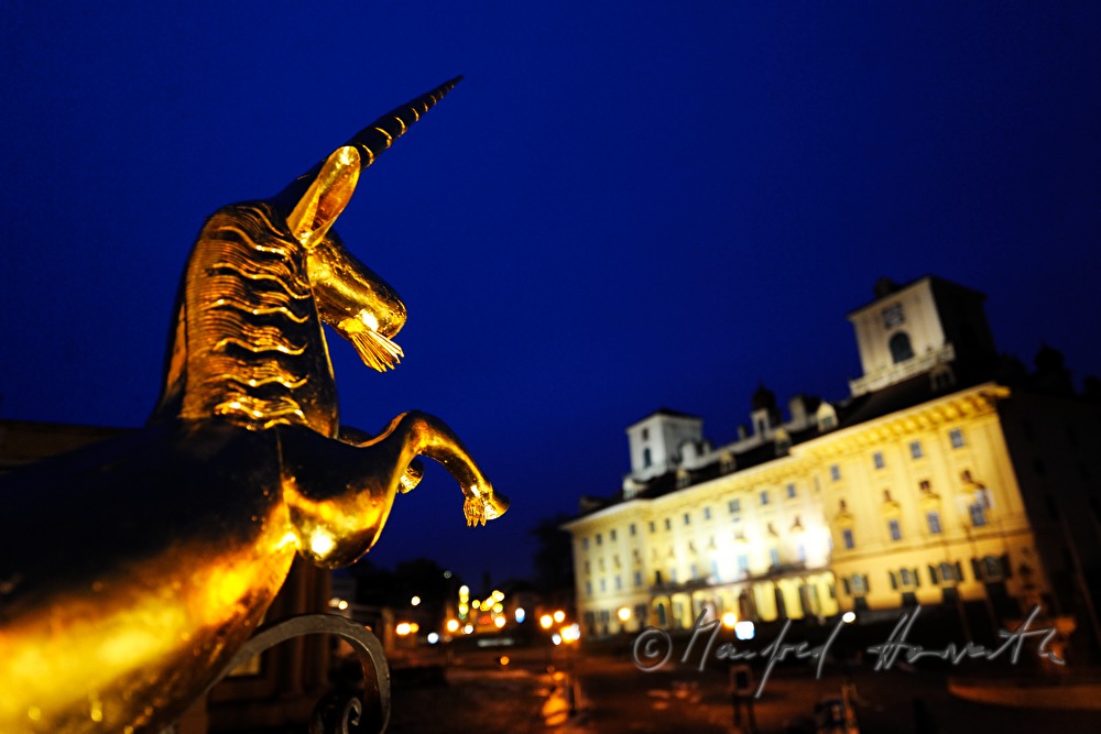 golden guild symbol and Castle Esterhazy