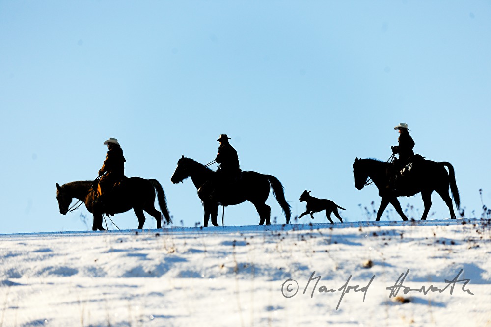 group of western riders cross a field