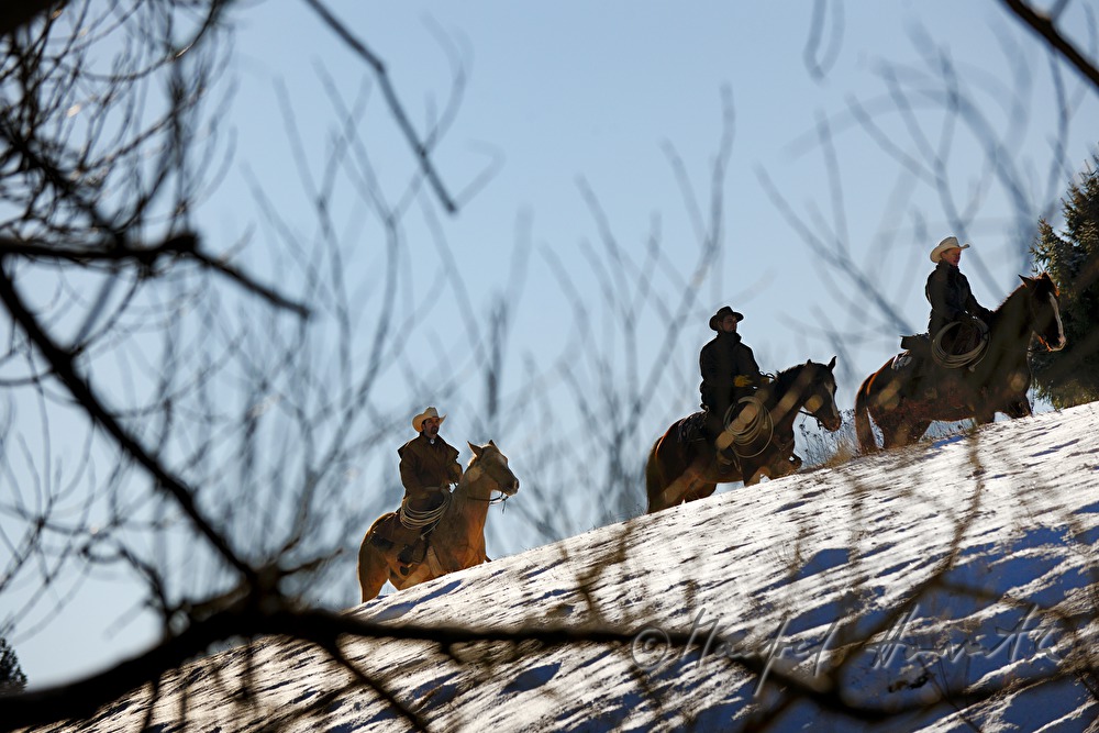 group of western riders cross a field