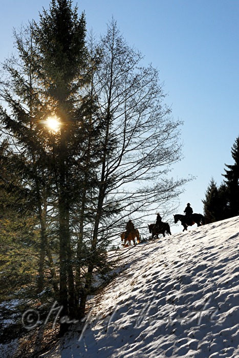 group of western riders cross a field