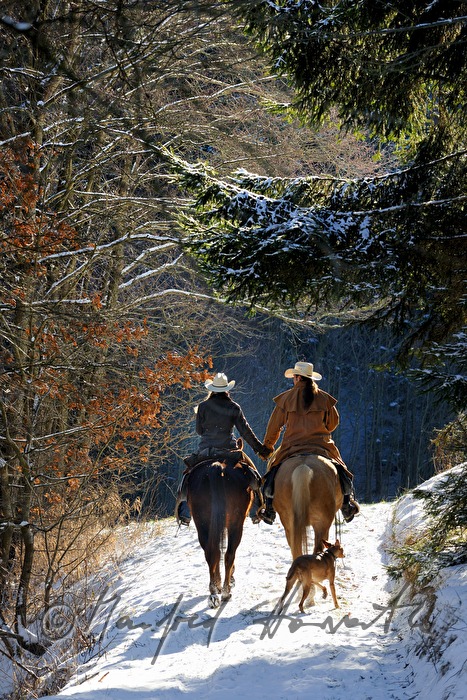 western riders near a forest glade