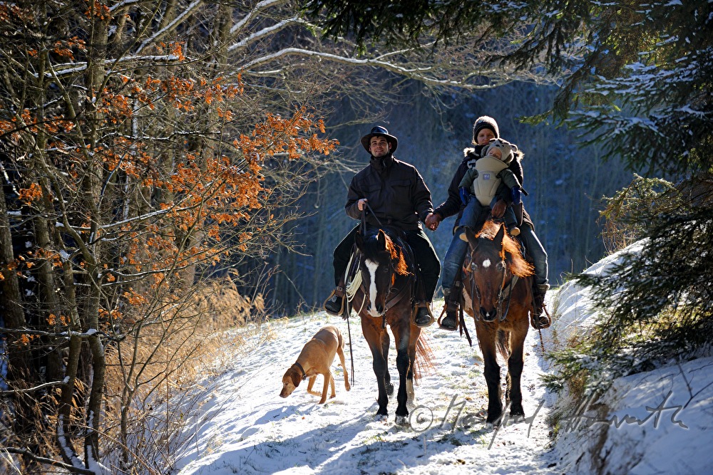 western riders near a forest glade