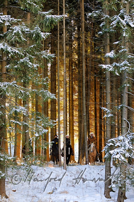 group of western riders in a forest
