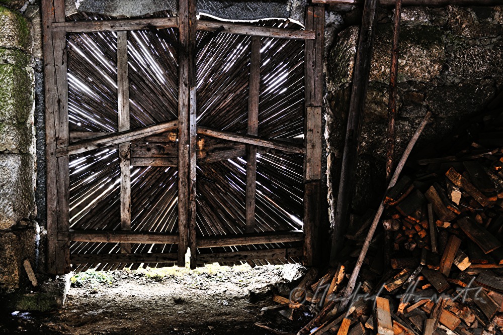 wooden gate of the barn and pile of fire wood