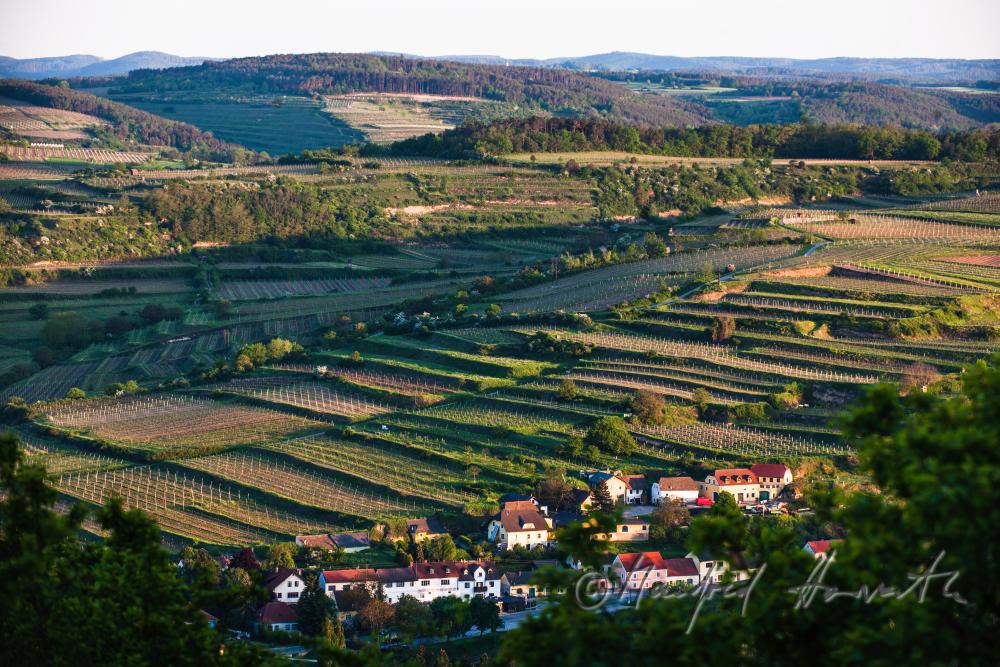 view from the Heiligenstein to the village of Zöbing