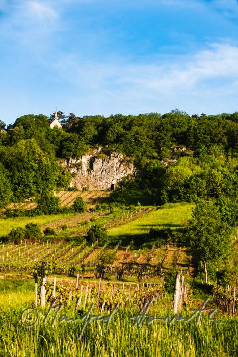 Calvary Chapel on top of the vineyards