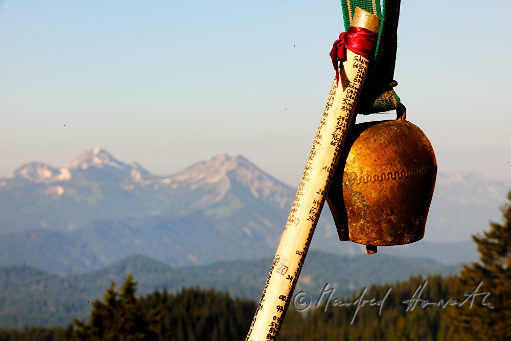 cowbell and hiking pole of the herdswoman