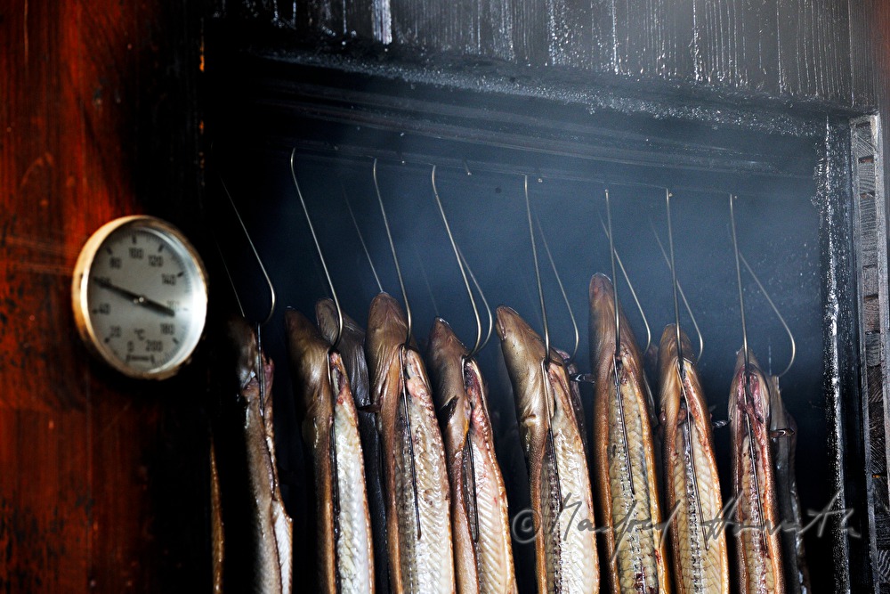 fisherman Helmut Schwarz smokes eels