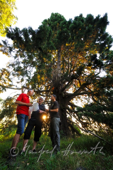 group of participants following a GPS-signal