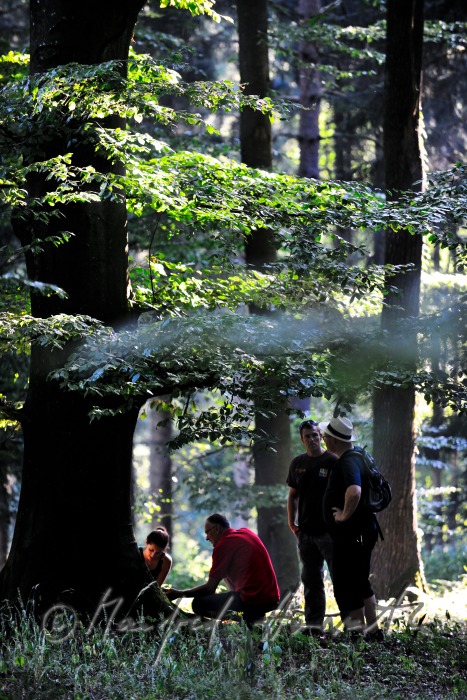 group of participants following a GPS-signal
