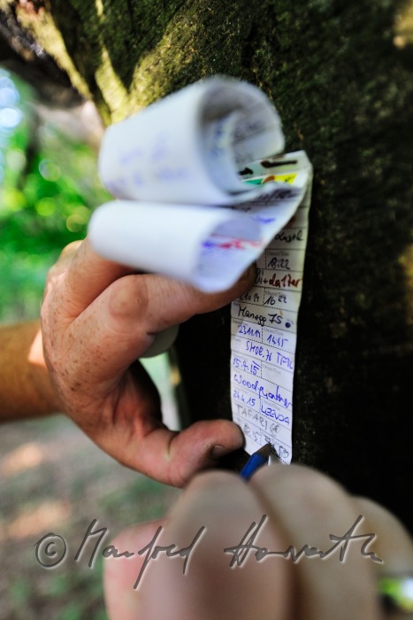 geocacher at the place of finding the geocache