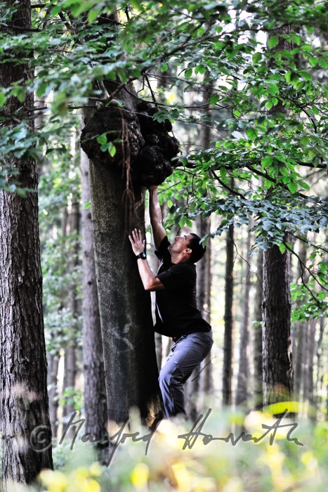 geocacher at the place of finding the geocache