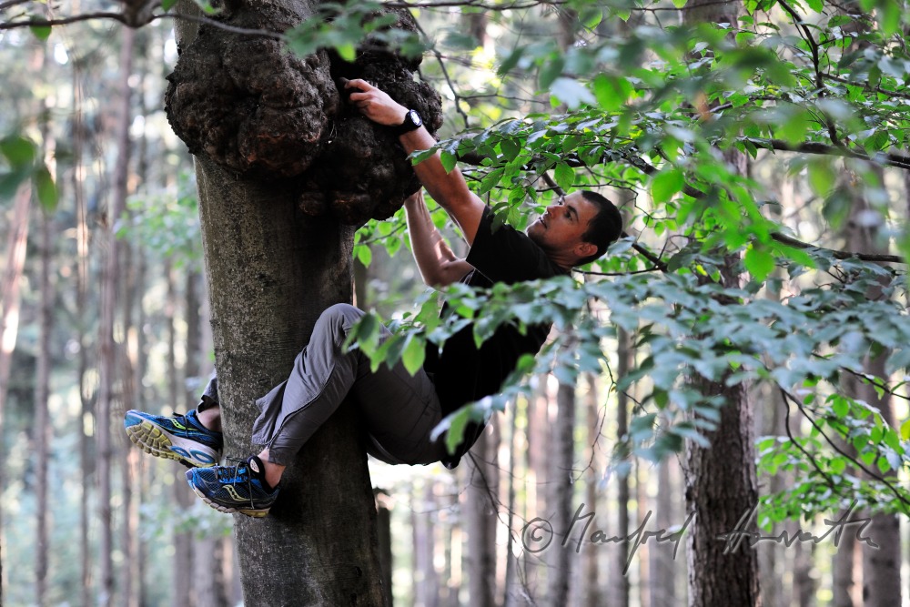 geocacher at the place of finding the geocache