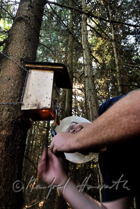 geocacher at the place of finding the geocache