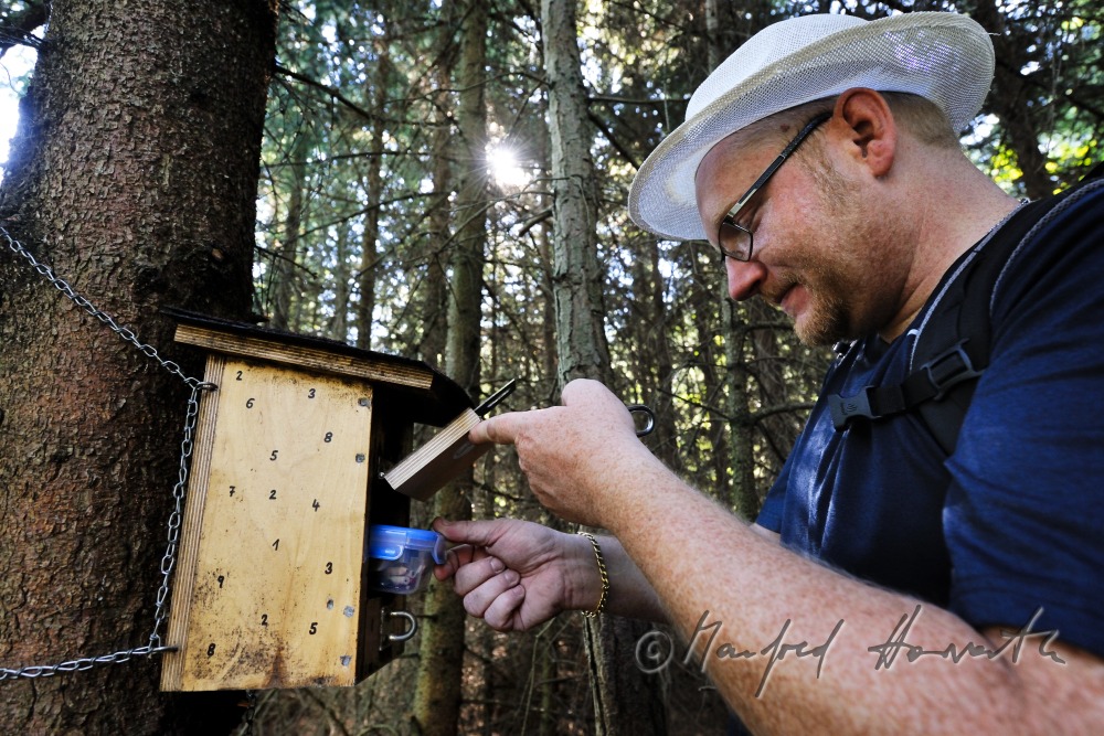 geocacher at the place of finding the geocache