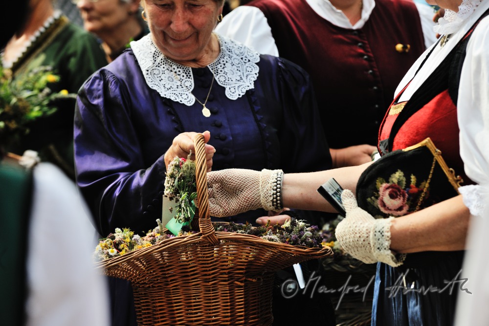 herbs near the altar of the church to be hallowed