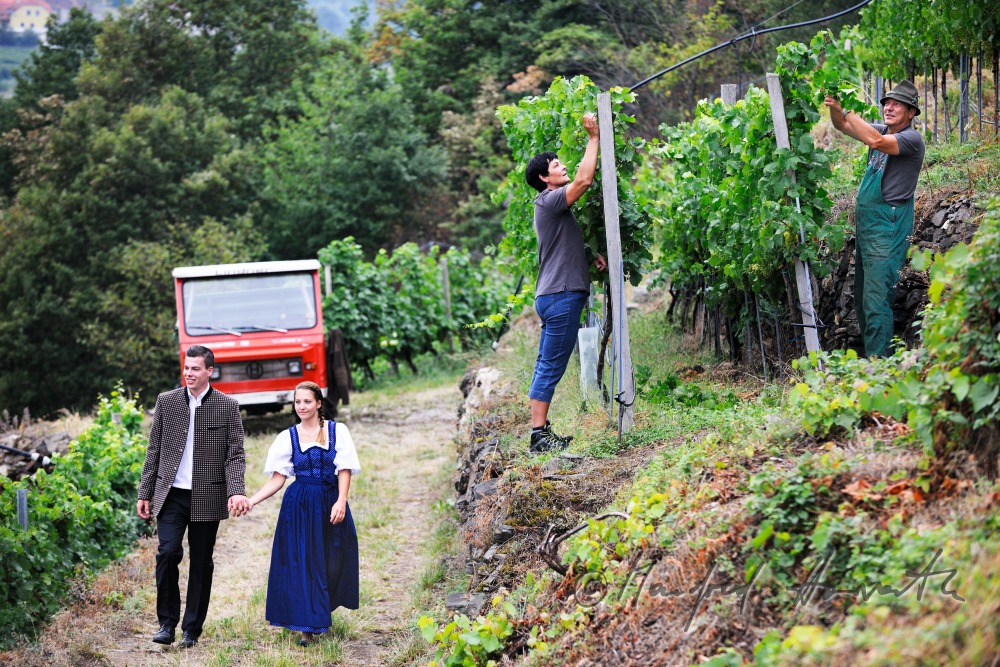 promenaders in typical clothes strolling in the vineyards