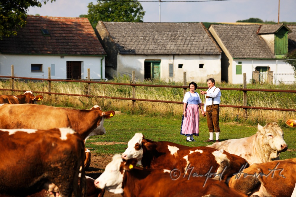 farmers in traditional clothes with live stock