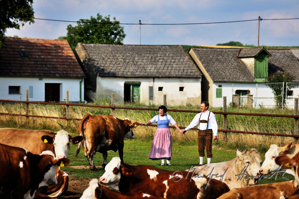 farmers in traditional clothes with live stock