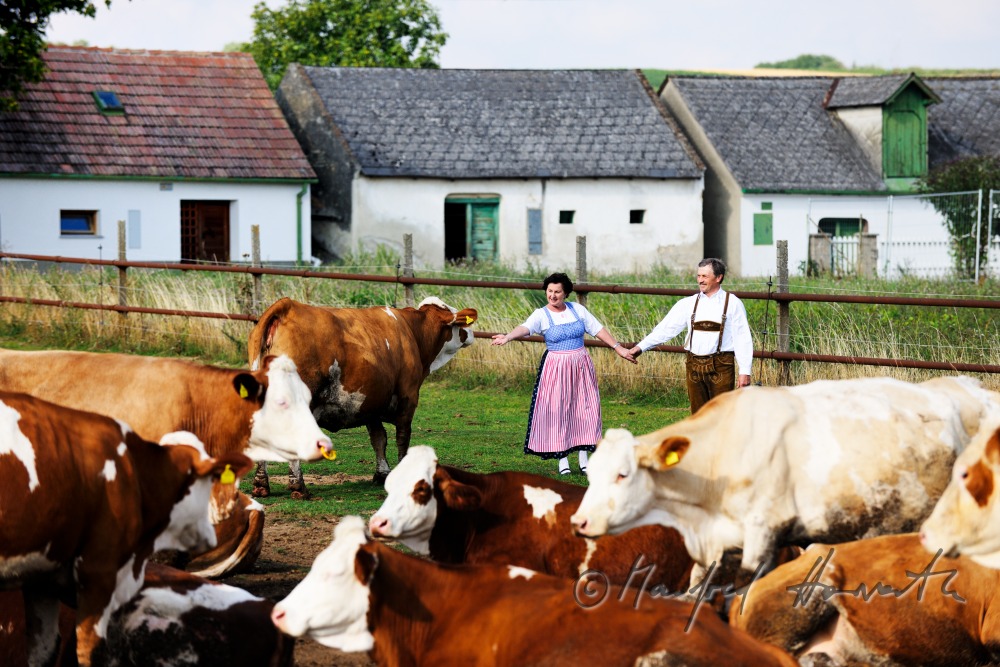 farmers in traditional clothes with live stock