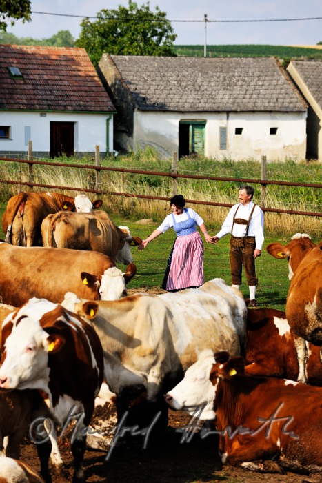 farmers in traditional clothes with live stock
