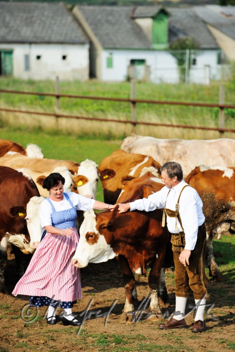 farmers in traditional clothes with live stock