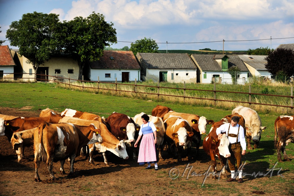 farmers in traditional clothes with live stock