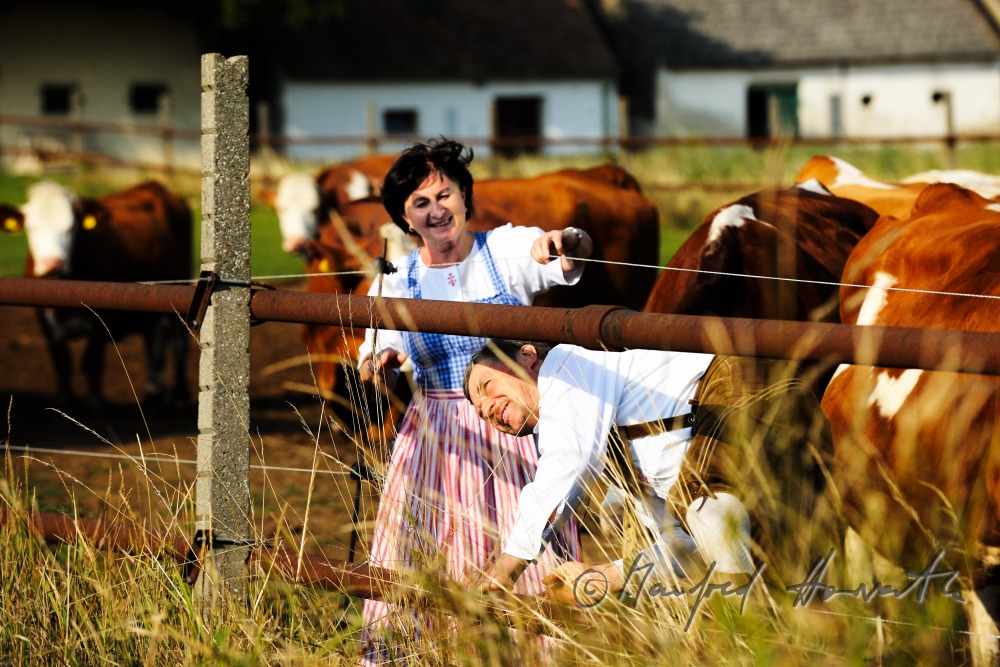 farmer in traditional clothes passes the fence of the graze land