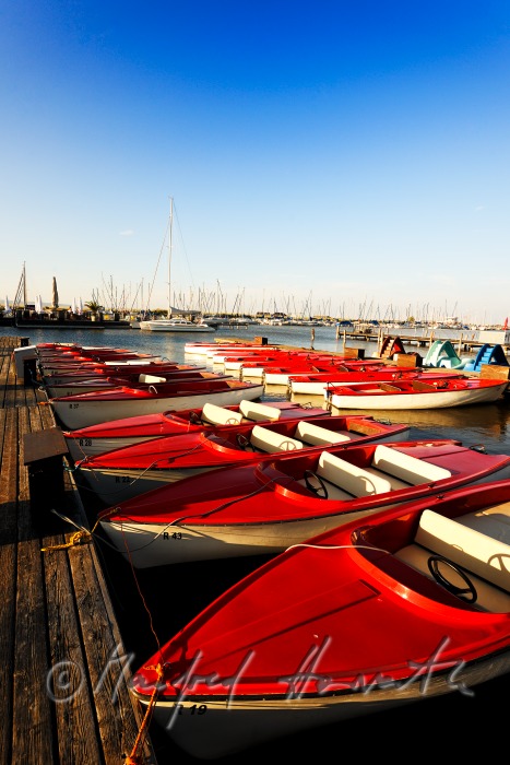 boat hire and restaurant 