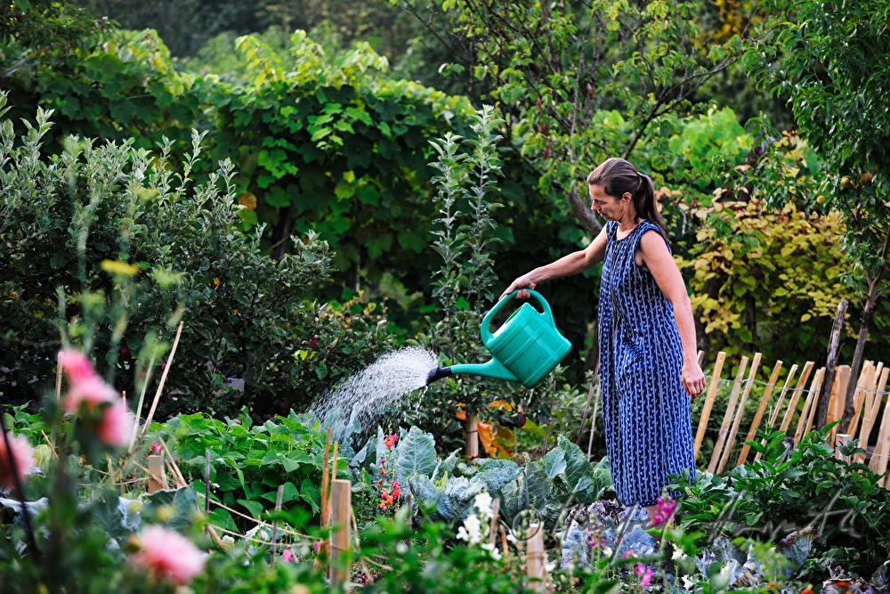 Annette Hofmann watering her vegetable garden