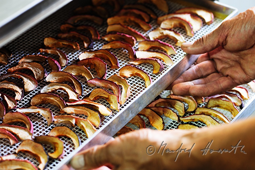 making of dried apples with an electric dryer