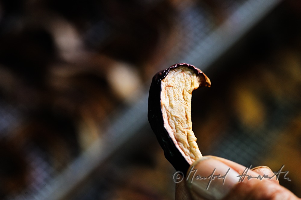 making of dried apples with an electric dryer