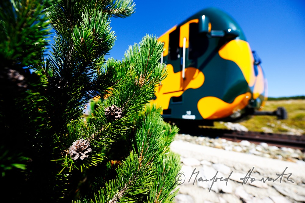 cog railway on the Schneeberg
