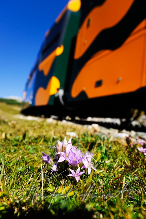 cog railway on the Schneeberg