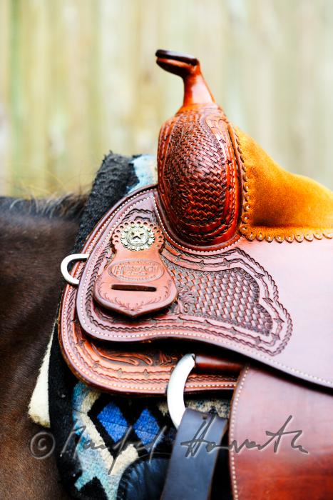 saddle and horse at a riding stable