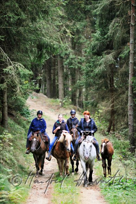 a group of riders passes a forest glade