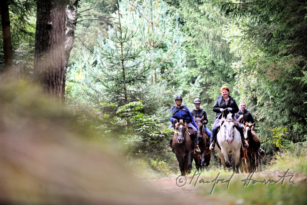 a group of riders passes a forest glade