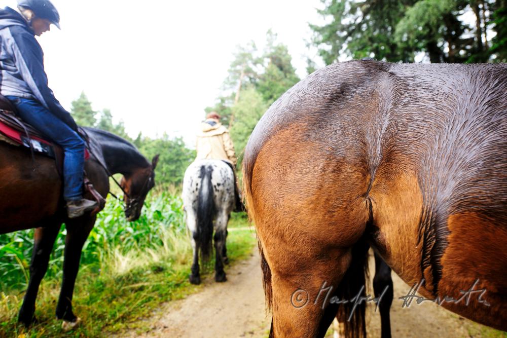 a grpup of riders taking a rest near a corn field