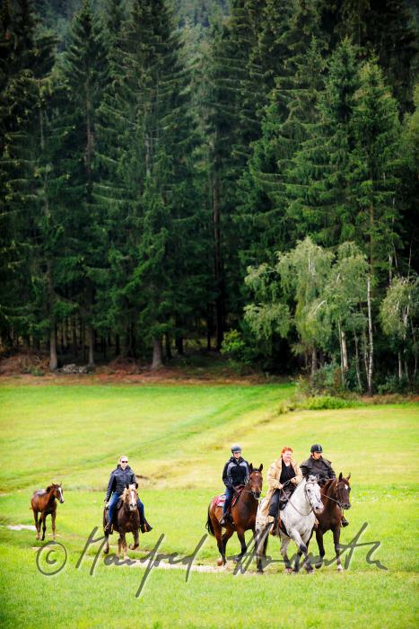 a group of riders passes a forest glade