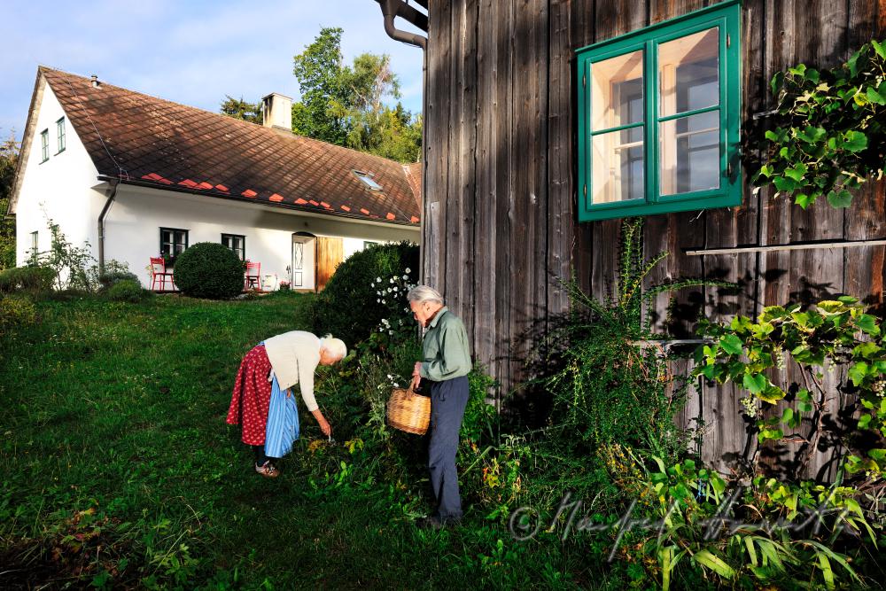 Fuchs family at work in the garden