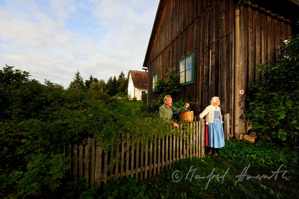 Fuchs family at work in the garden