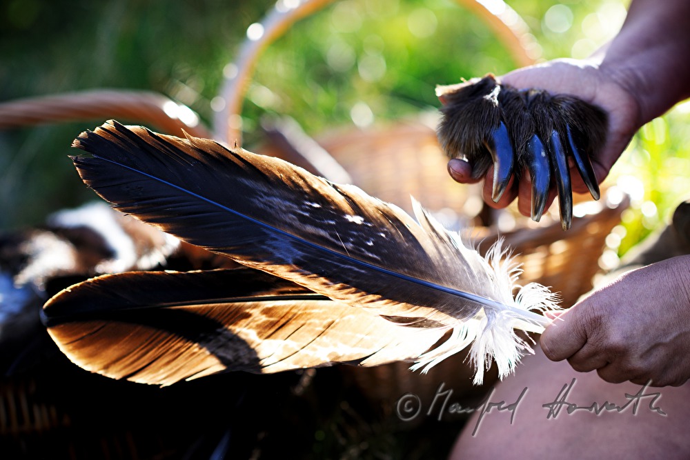 eagle's feather and bear`s claw of the medicine woman