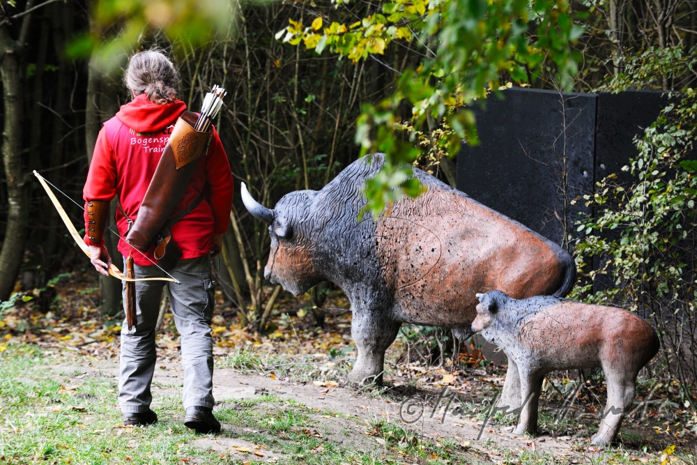 bowman shooting near a fake Bison at the 3D-parcours